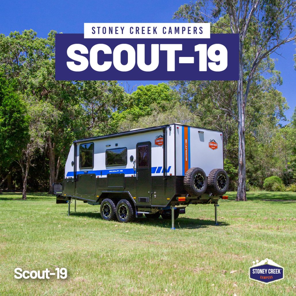 Scout-19